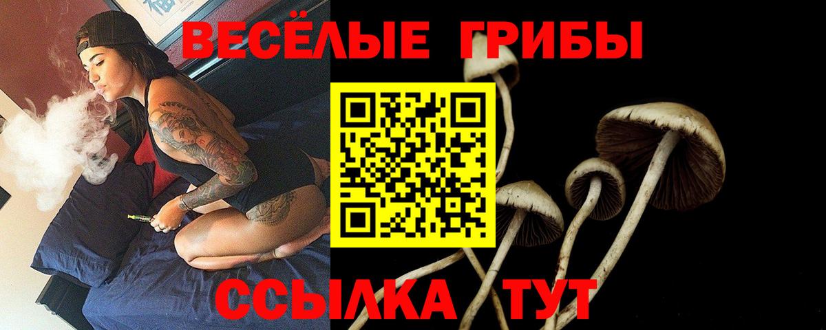 Алейск  Псилоцибиновые грибы мицелий  Псилоцибиновые грибы мицелий  магазин    Вход с VPN 